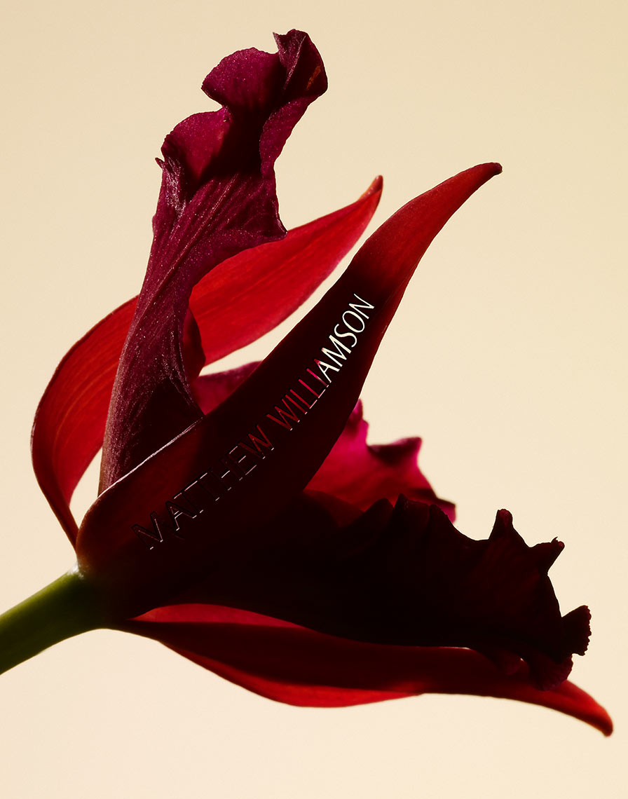 Cosmetics+Perfumes_006