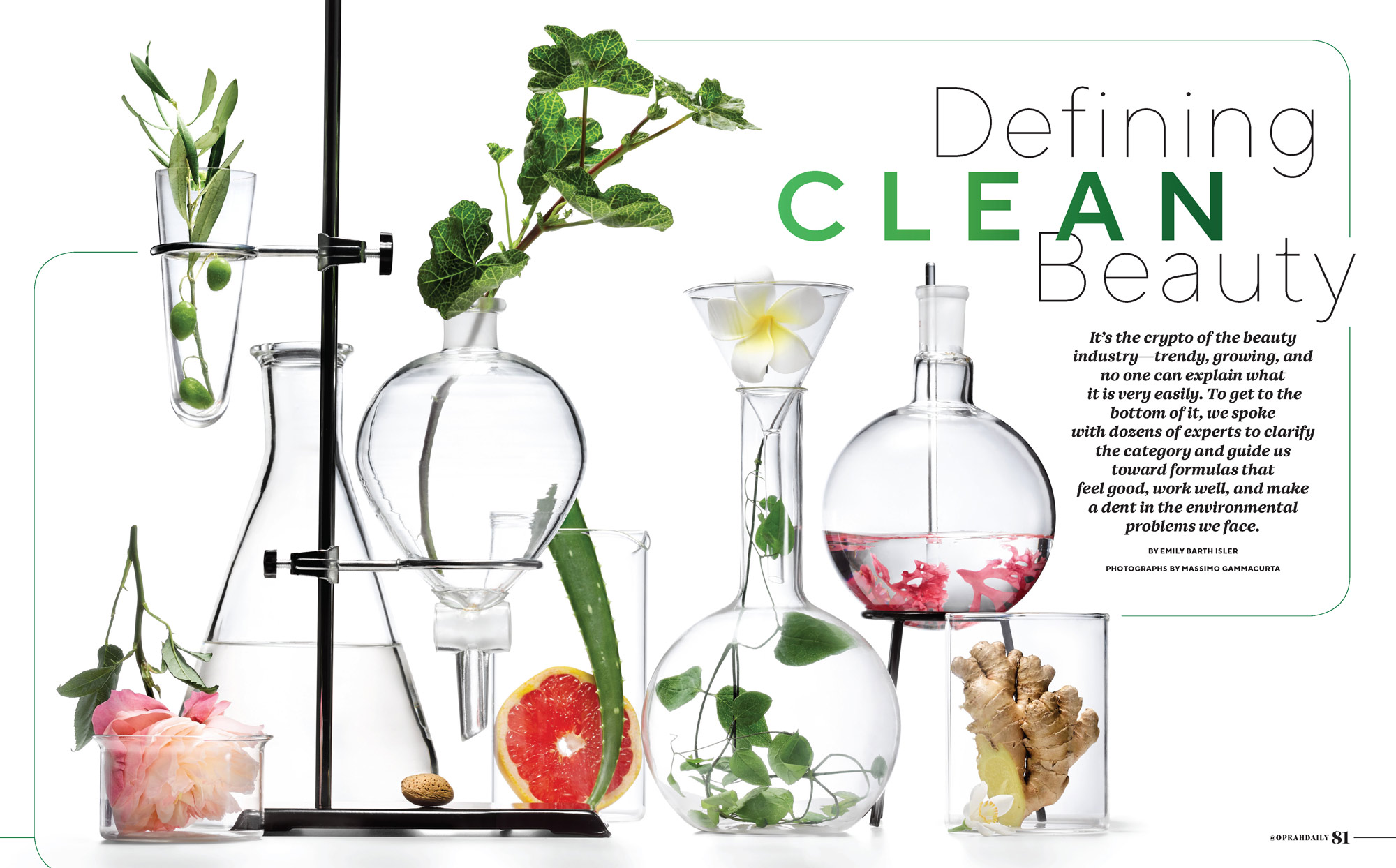 OPR010123WellCleanBeauty_PAGE_1_Page_1